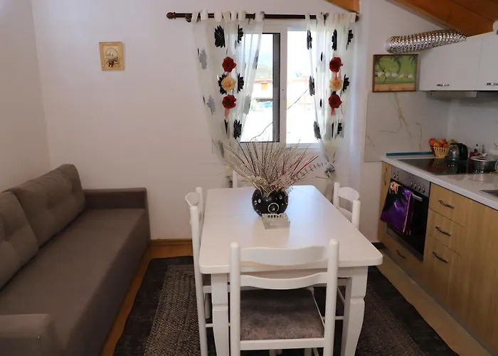 Апартаменты Rino *